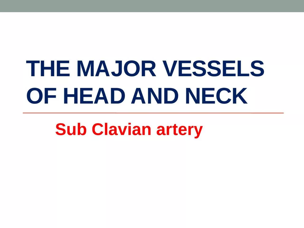 PPT-The major vessels of head and neck