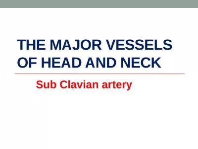 The major vessels of head and neck