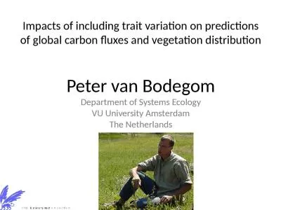 Impacts of including trait variation on predictions of global carbon fluxes and vegetation
