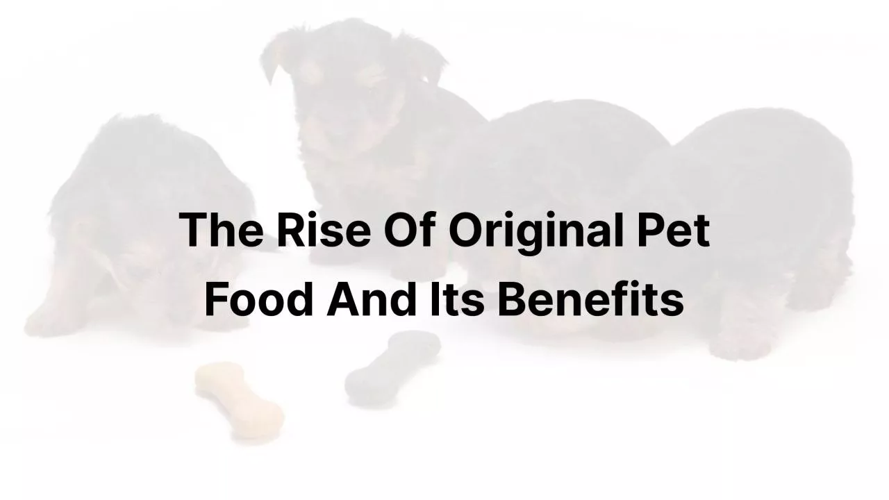 PDF-The Rise Of Original Pet Food And Its Benefits