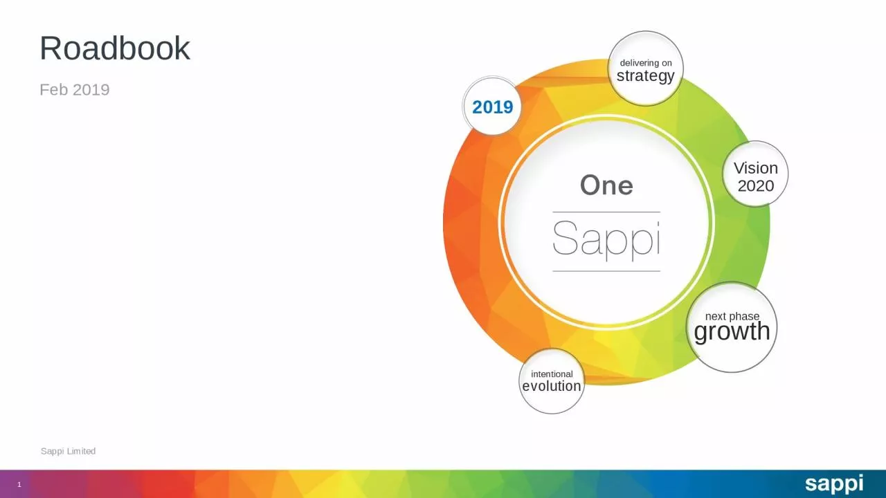 PPT-Feb 2019 Sappi Limited Roadbook