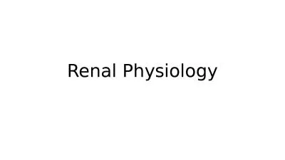 Renal Physiology Overview role of the kidney