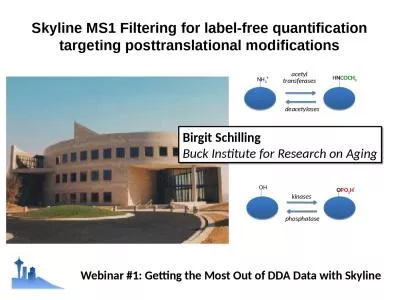 Skyline MS1 Filtering for label-free quantification targeting posttranslational modifications