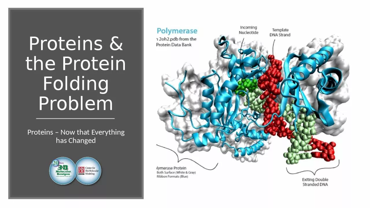 PPT-Proteins & the Protein Folding Problem