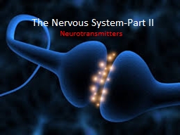 PPT-The Nervous System-Part II