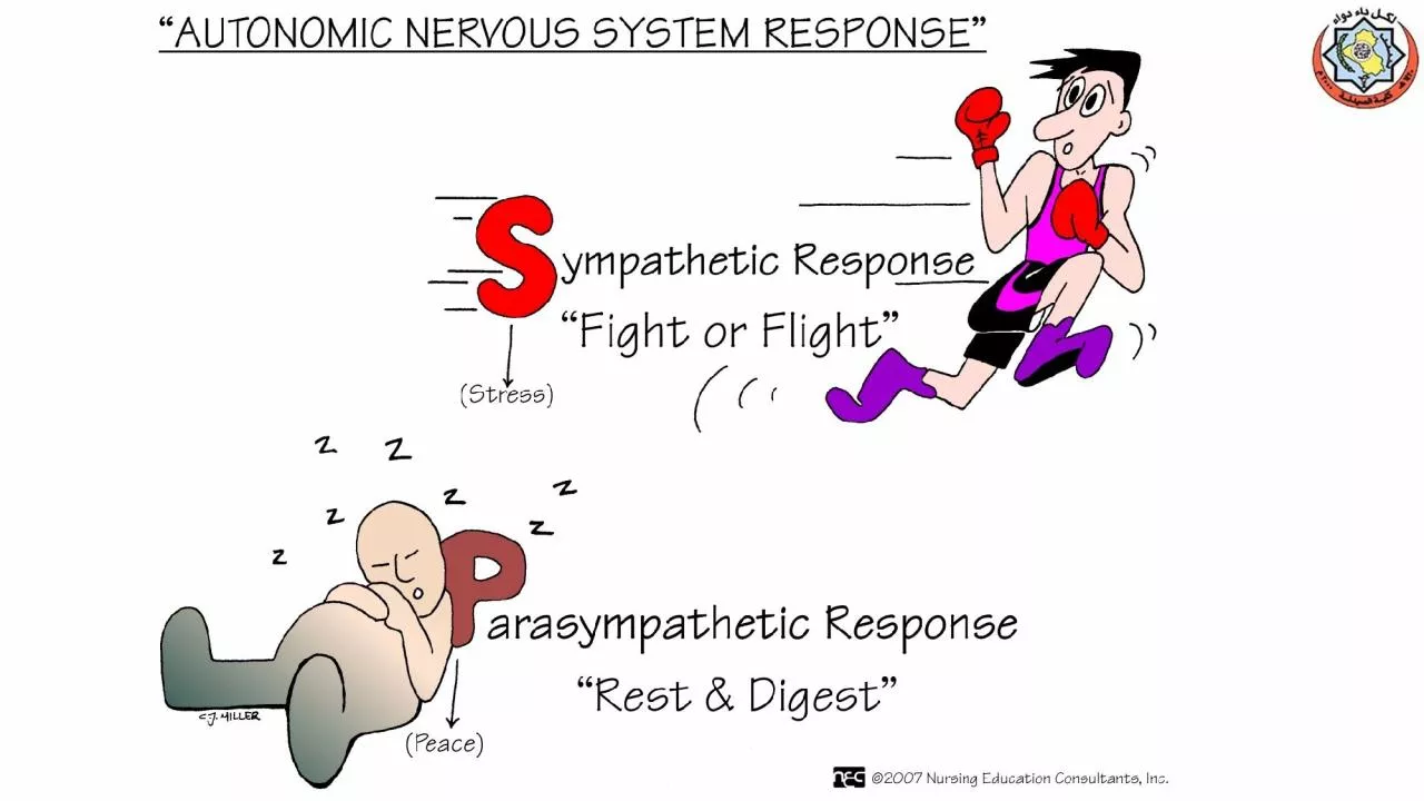 PPT-Cholinergic Agonists Direct-Acting Cholinomimetics