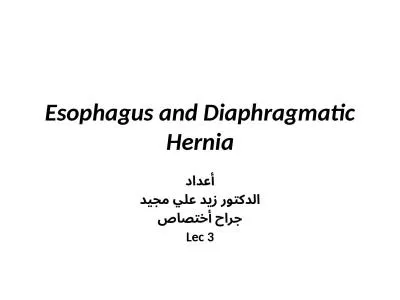Esophagus and Diaphragmatic