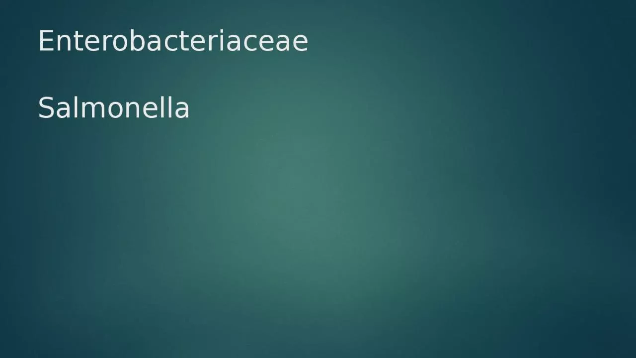 PPT-Enterobacteriaceae Salmonella