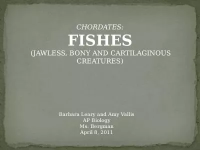 CHORDATES: FISHES   (JAWLESS, BONY AND CARTILAGINOUS CREATURES)