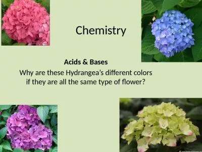 Chemistry Acids & Bases