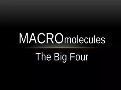 MACRO molecules The Big Four