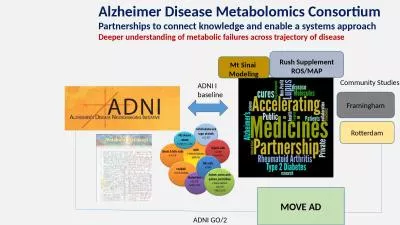 Alzheimer Disease Metabolomics Consortium