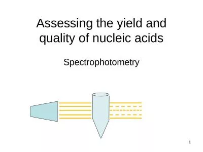 Assessing the yield and quality of nucleic acids