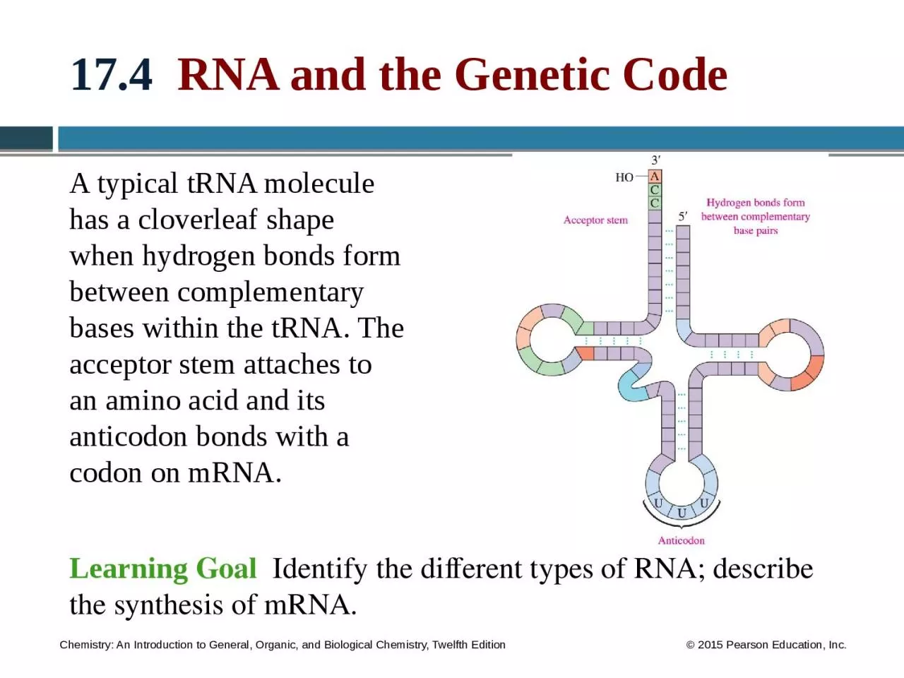 17.4   RNA and the Genetic Code