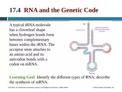 17.4   RNA and the Genetic Code