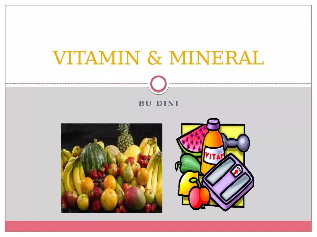 PPT-Bu dini VITAMIN & MINERAL