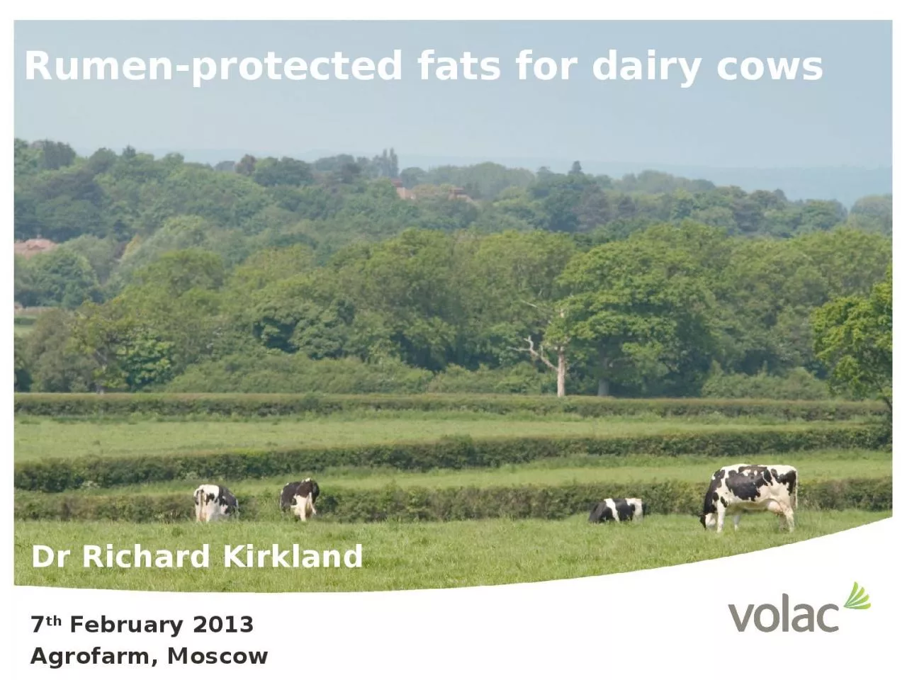 PPT-Rumen-protected fats for dairy cows