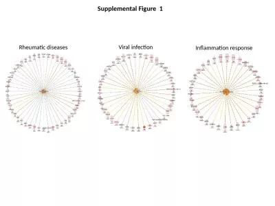 Supplemental Figure  1 Rheumatic diseases