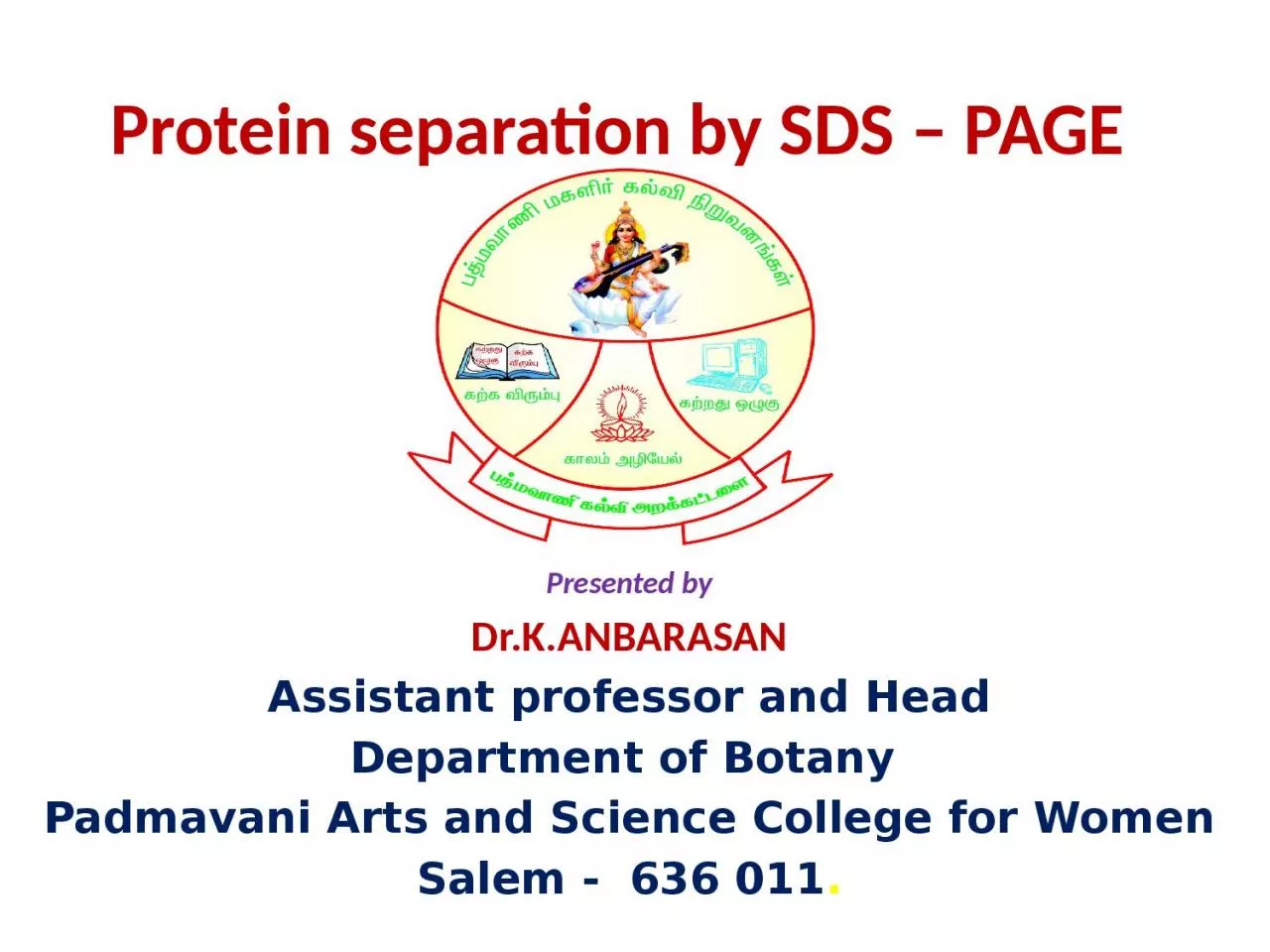Protein separation by SDS – PAGE
