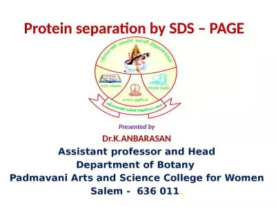 Protein separation by SDS – PAGE