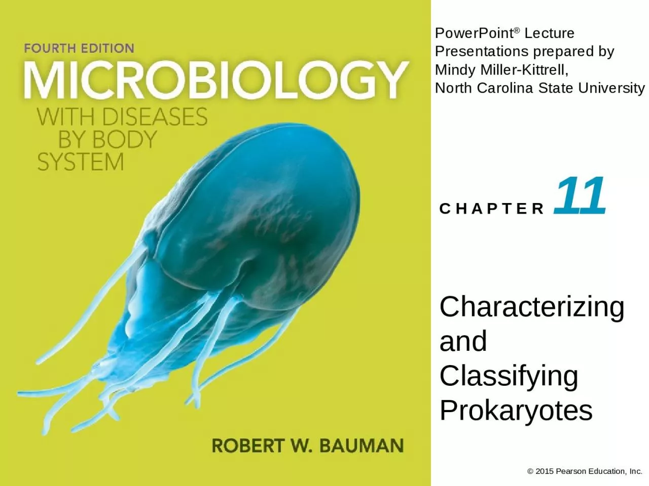 PPT-Characterizing and Classifying Prokaryotes