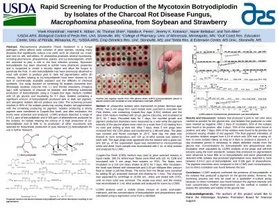 Rapid Screening for Production of the Mycotoxin Botryodiplodin by Isolates of the Charcoal Rot Dise