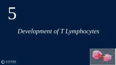 Development of T Lymphocytes