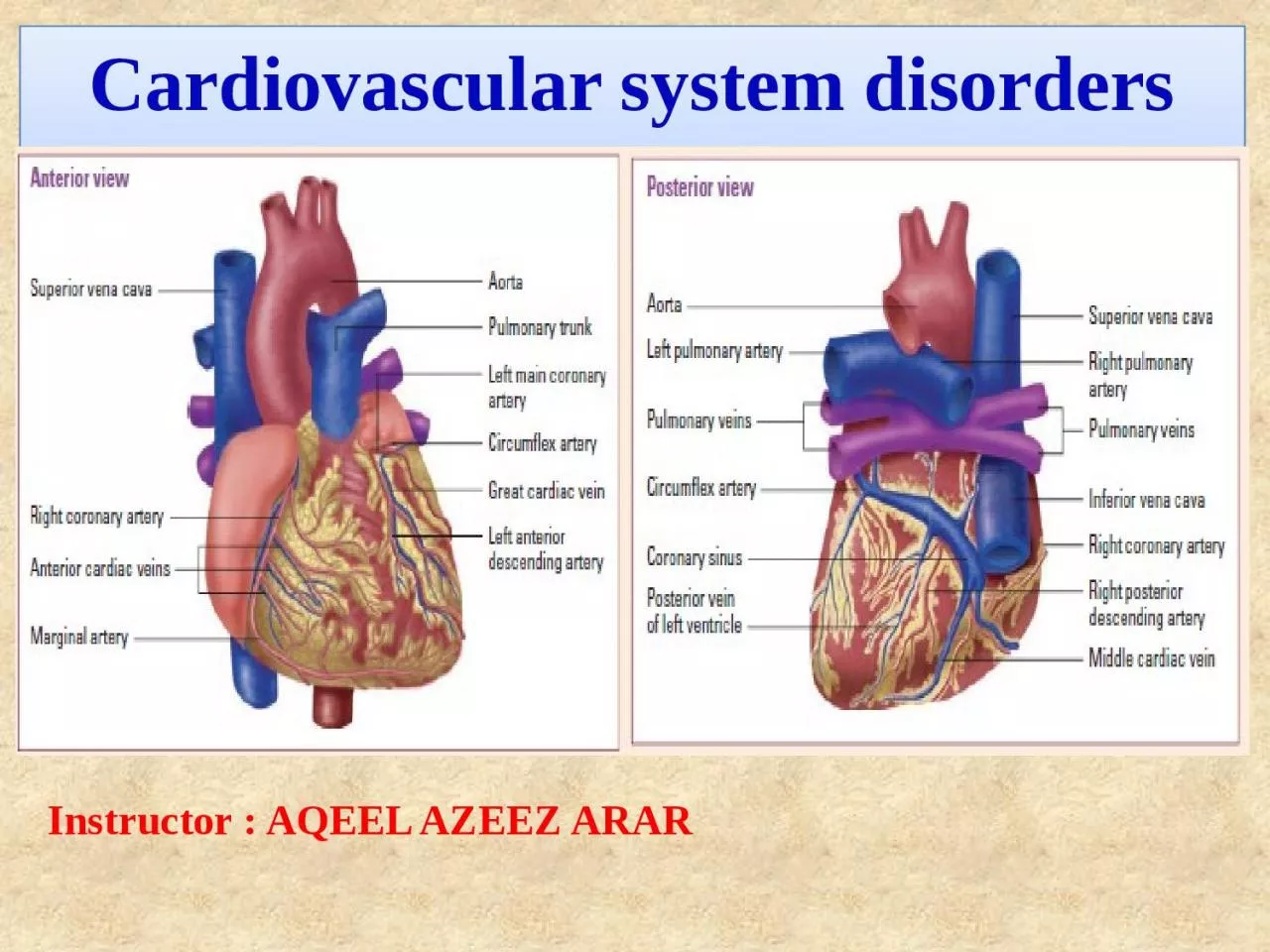 Cardiovascular system disorders