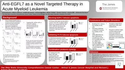 Anti-EGFL7 as a Novel Targeted Therapy in Acute Myeloid Leukemia