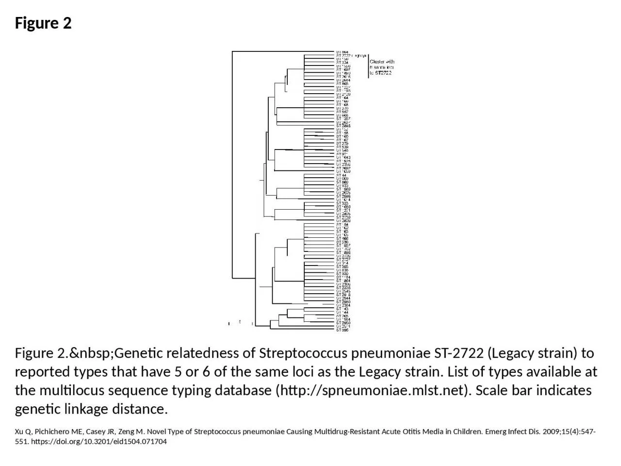 Figure 2 Figure 2.&nbsp;Genetic relatedness of Streptococcus pneumoniae ST-2722 (Legacy