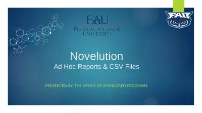 Novelution Ad Hoc Reports & CSV Files