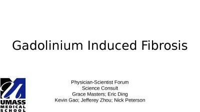 Gadolinium Induced Fibrosis