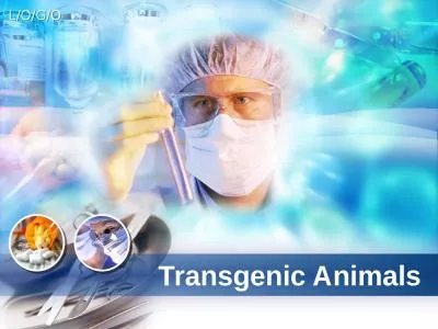 Transgenic Animals Contents