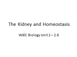 The Kidney and Homeostasis