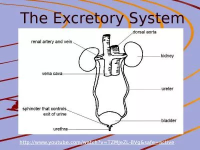 The Excretory System http://www.youtube.com/watch?v=TZMJeZL-BVg&safe=active