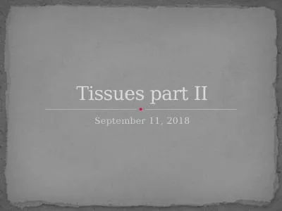 September 11, 2018 Tissues part II