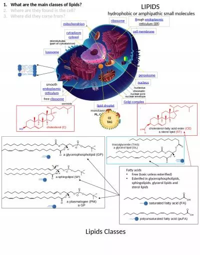 CE TAG LIPIDS  hydrophobic or amphipathic small molecules