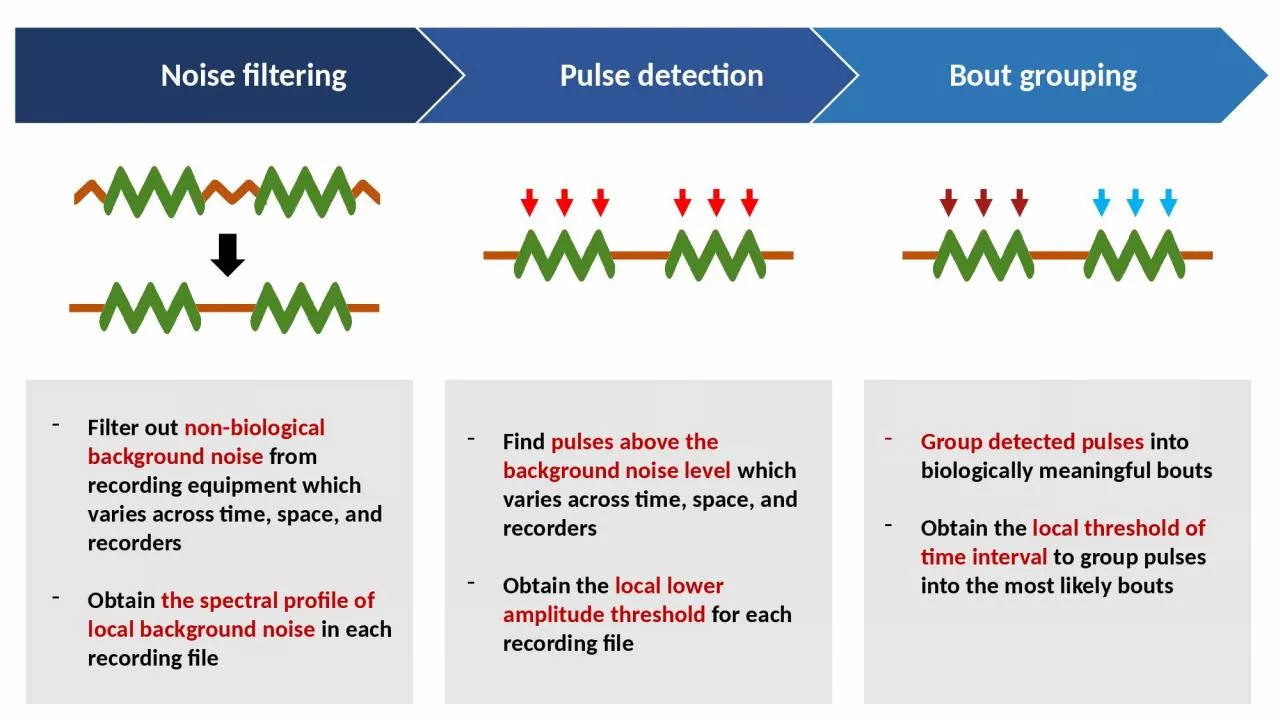 PPT-Filter out non-biological background noise