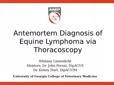 Antemortem  Diagnosis of Equine Lymphoma via Thoracoscopy