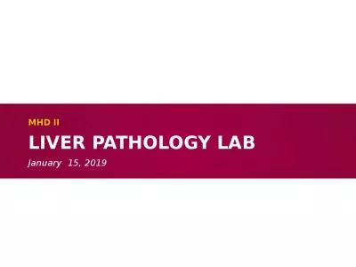 Liver Pathology Lab MHD  II