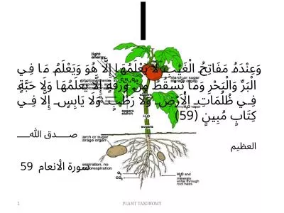 PLANT TAXONOMY 1 l   وَعِنْدَهُ مَفَاتِحُ الْغَيْبِ لَا يَعْلَ