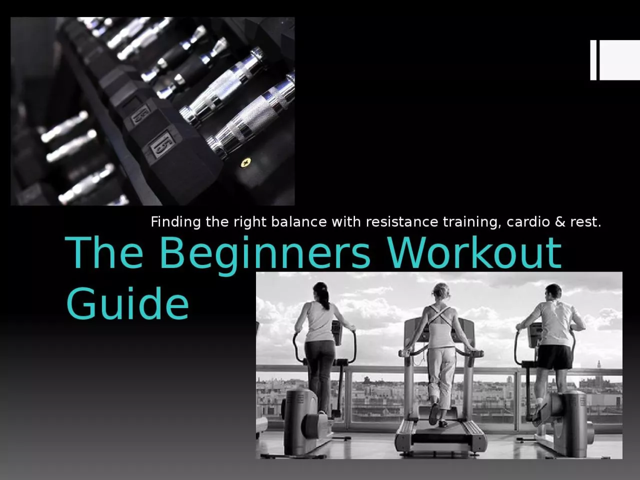 PPT-The Beginners Workout Guide