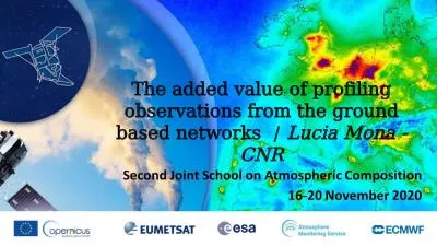 The added value of profiling observations from the ground based networks  /