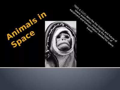 Animals in Space TEKS 6.11(C)