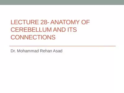 LECTURE 28- ANATOMY OF CEREBELLUM AND ITS CONNECTIONS