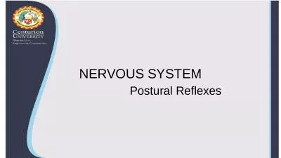 NERVOUS SYSTEM Postural Reflexes