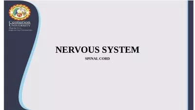 NERVOUS SYSTEM SPINAL CORD
