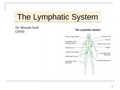 The Lymphatic System 1 Dr. Mustafa