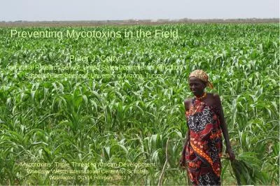 Preventing Mycotoxins in the Field
