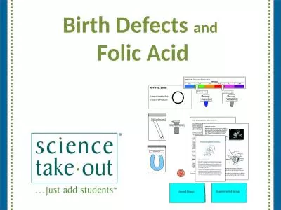 Birth Defects  and   Folic